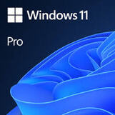 Windows 10